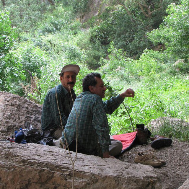 طبیعت گردی دنا