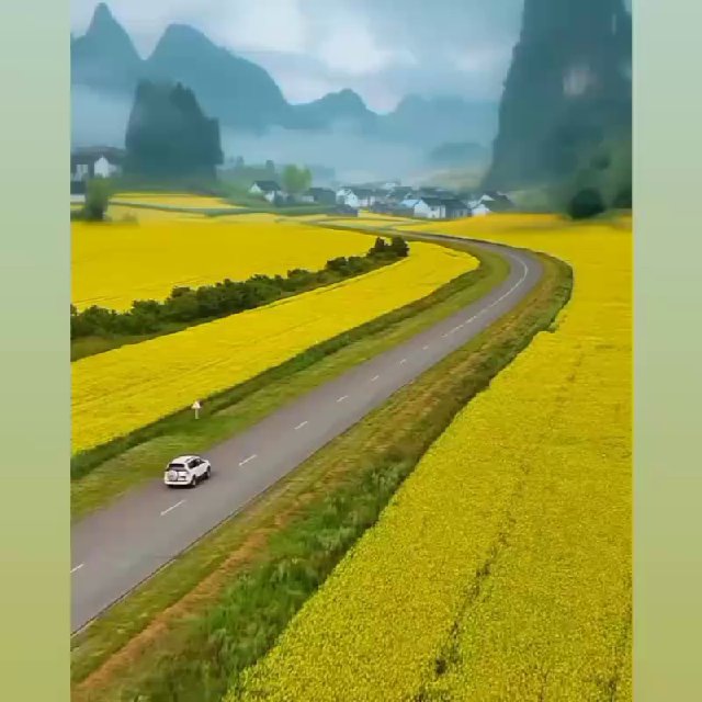لوگوی برگزار کننده
