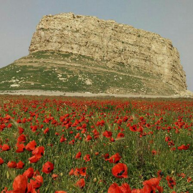 لوگوی برگزار کننده