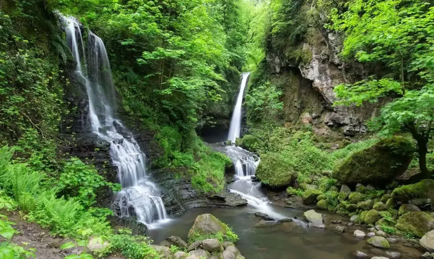 آبشار و جنگل ترز