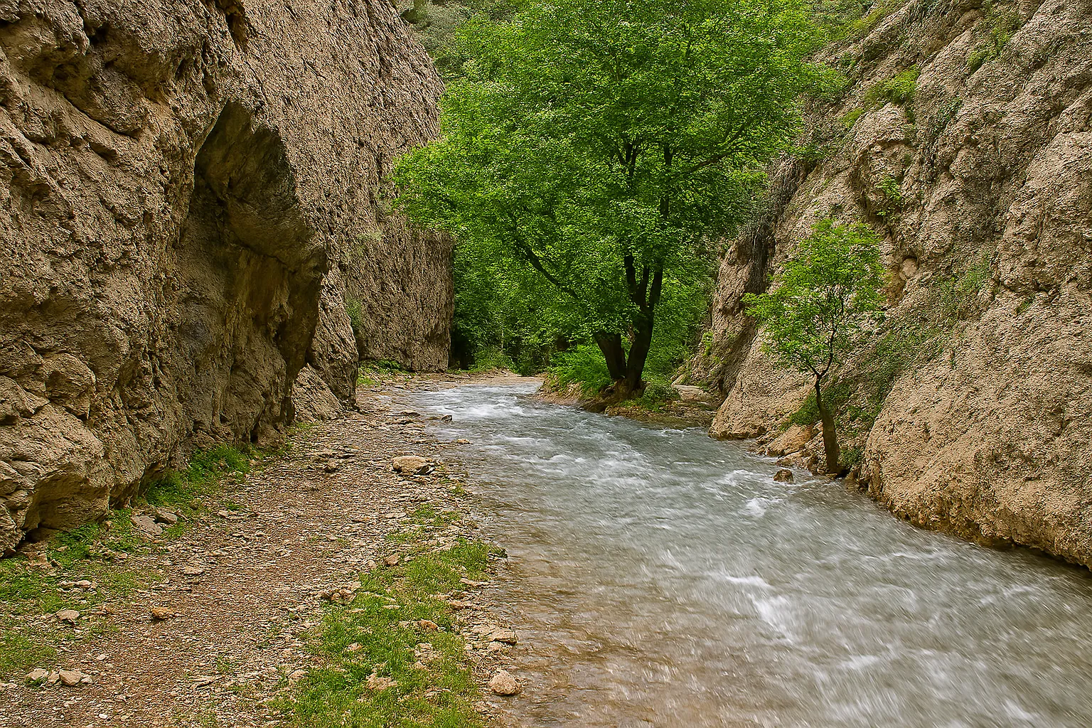 تور یک روزه تربت جام و رودخانه ابدال آباد