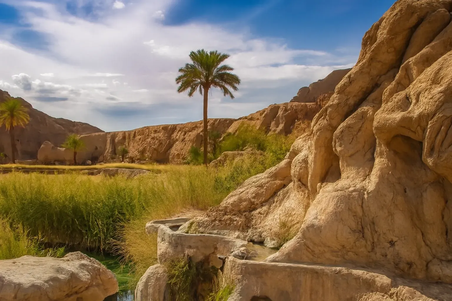 کویرگردی مصر تا ازمیغان