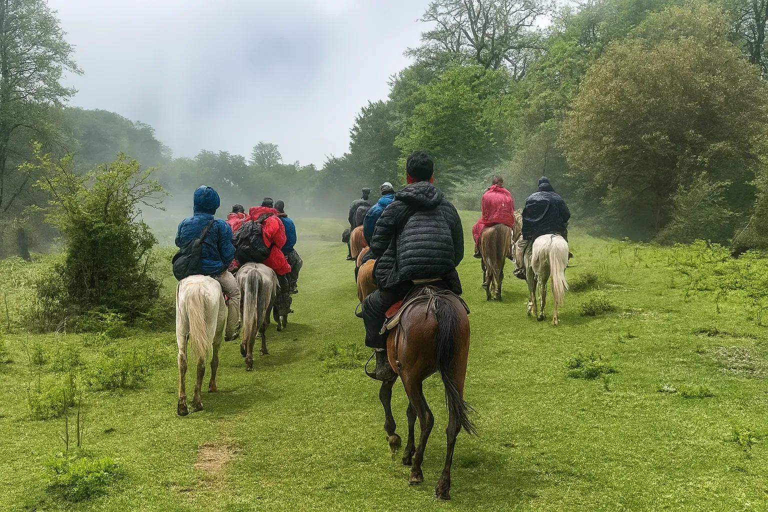 اسب‌سواری جنگل هره‌دشت