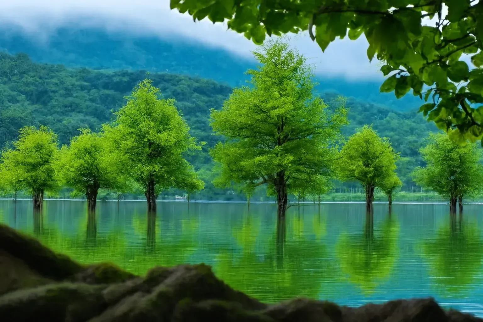 پیک نیک دریاچه الندان