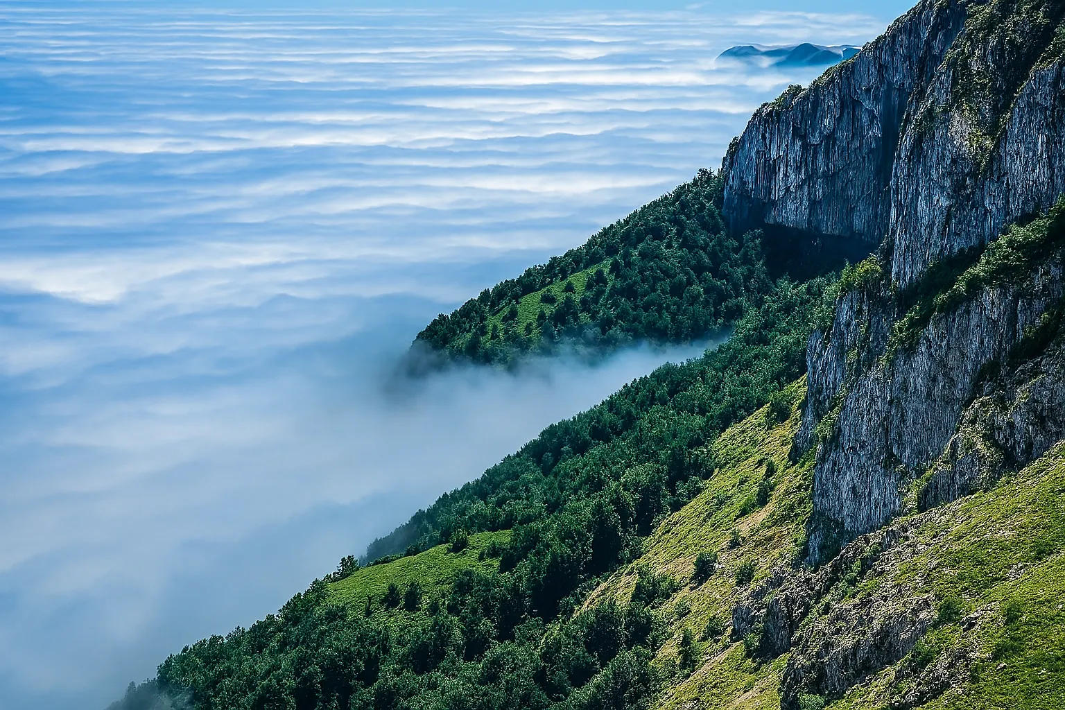 پیمایش اوپرت تا بولا