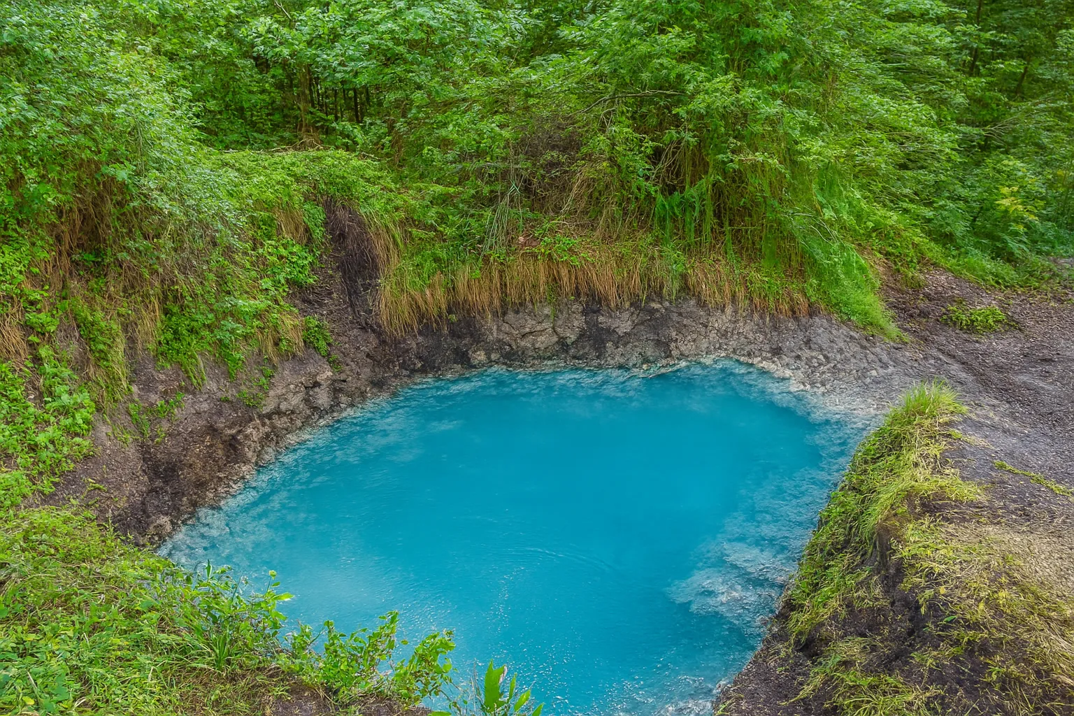 پیمایش جنگلی بلیران
