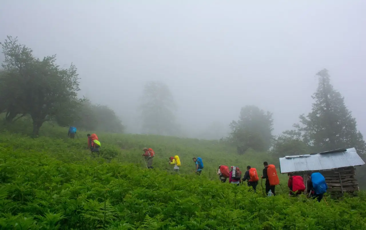 پیمایش جنگل گلستان