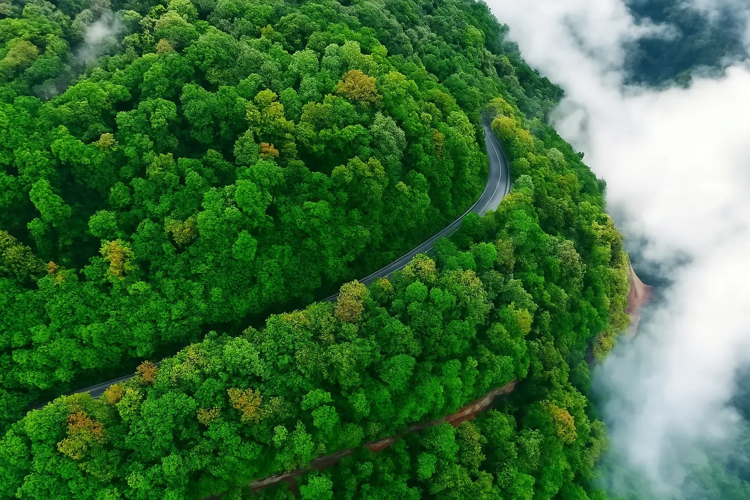 تور گیلان‌گردی