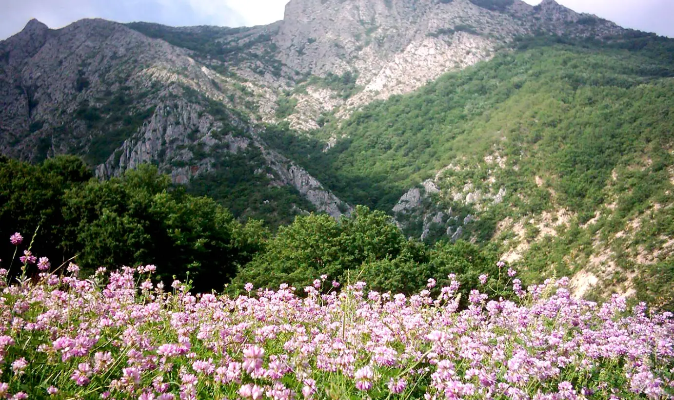 تور یک و نیم روزه درکش
