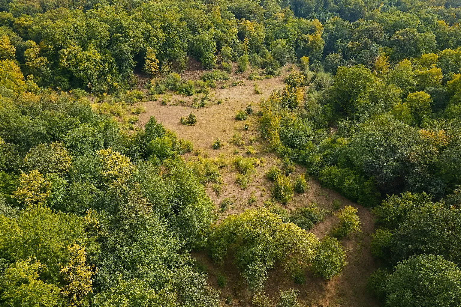 پیمایش جنگل توسکستان