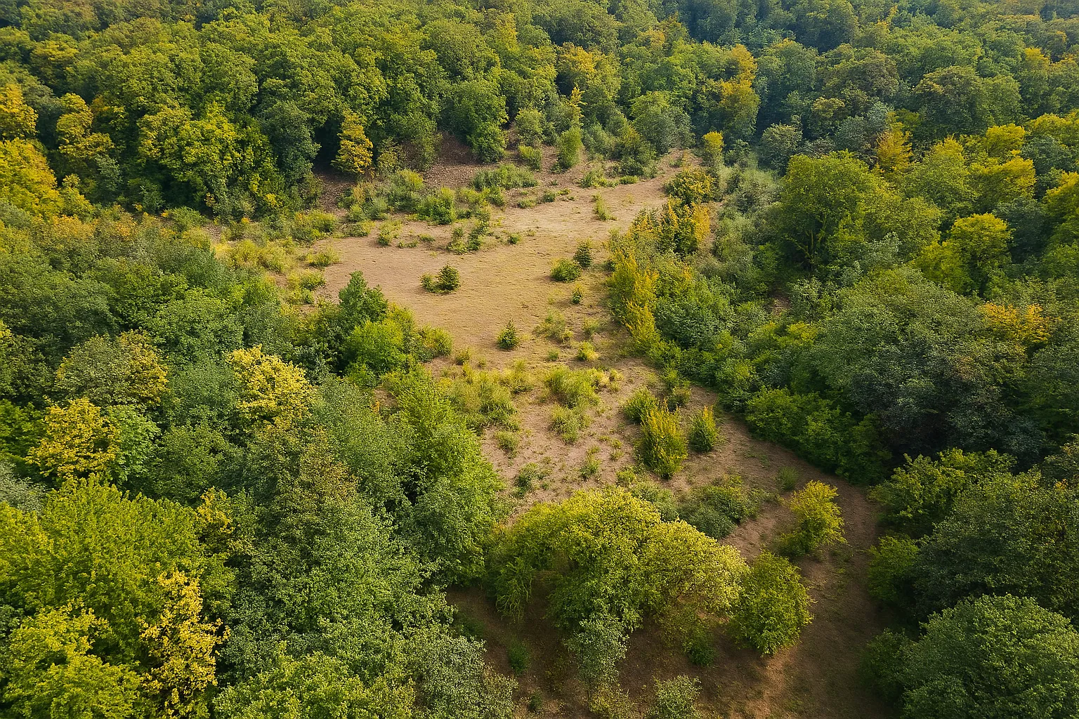 پیمایش جنگل توسکستان
