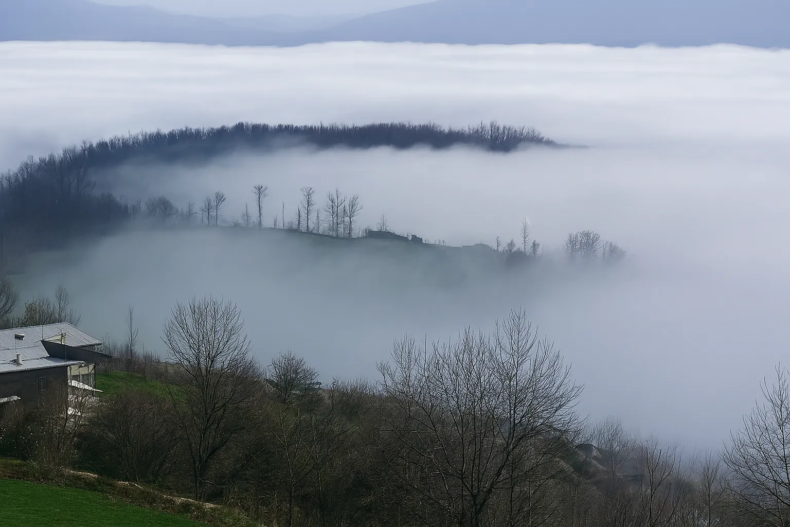 تور برگزارشده پیمایش جنگل ابر