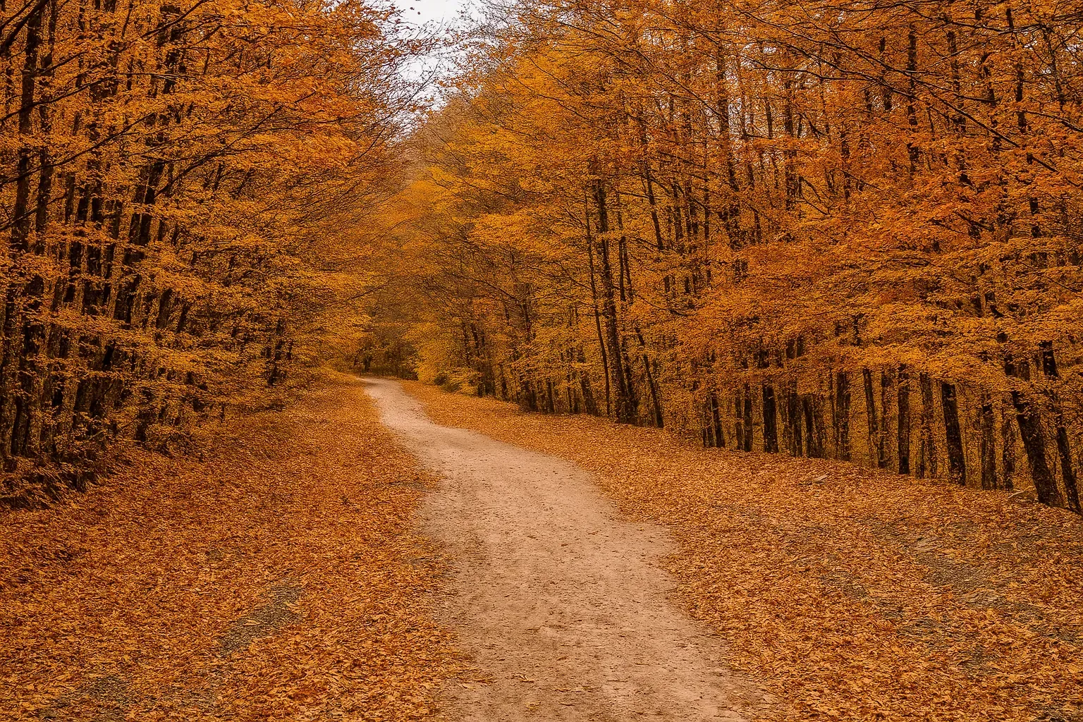 پیاده‌روی حاشیه زاینده‌رود