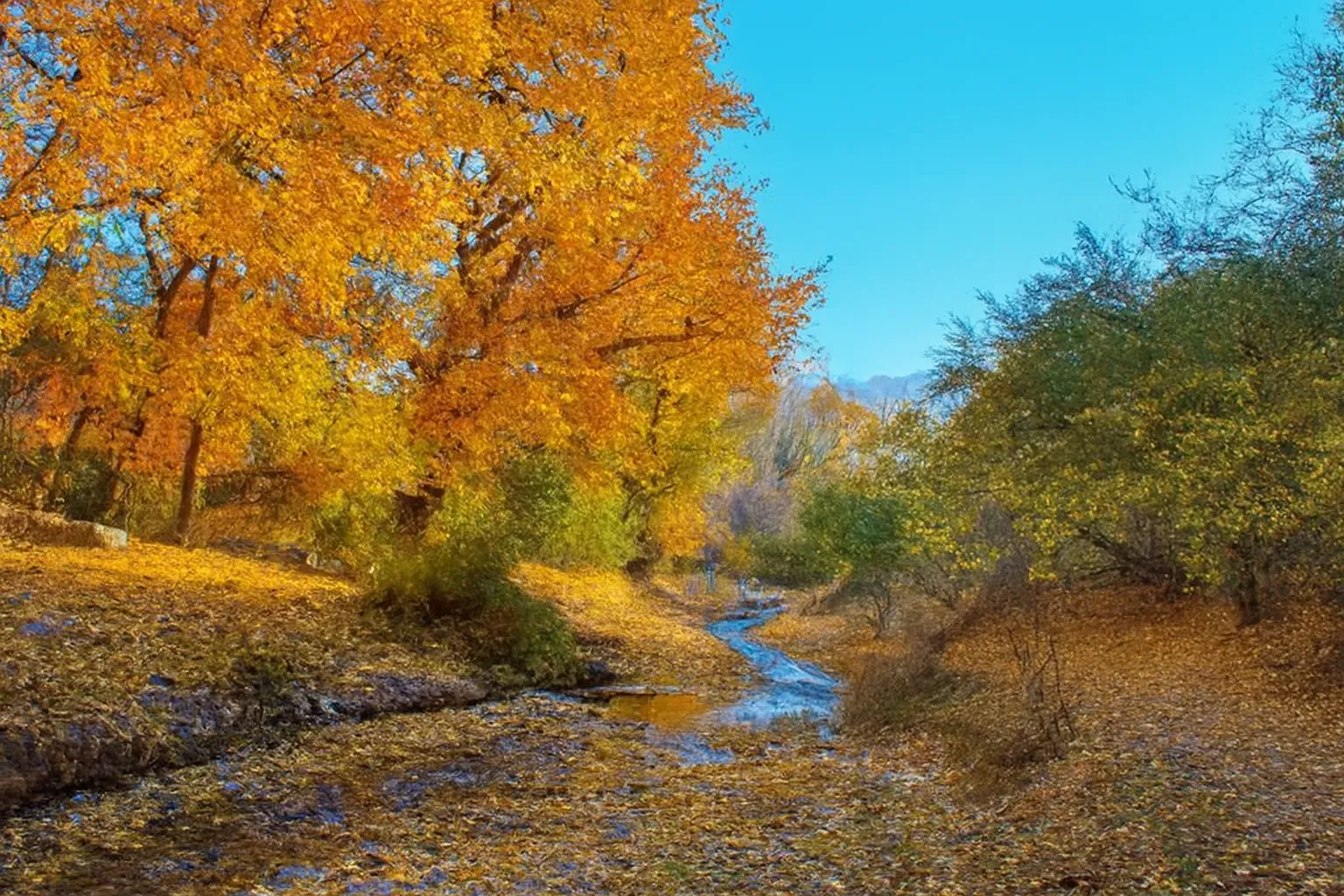 پیمایش دره سیب