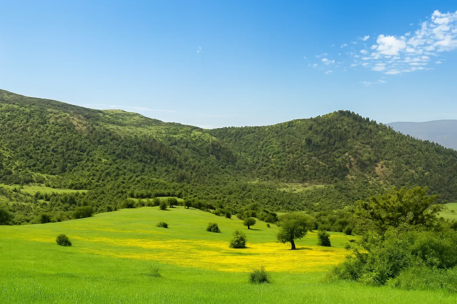 طبیعت‌گردی روستای دشتک