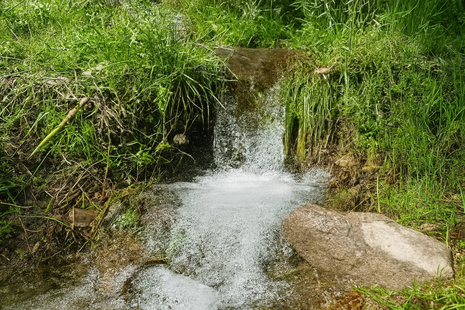 پیمایش طبیعت دودران