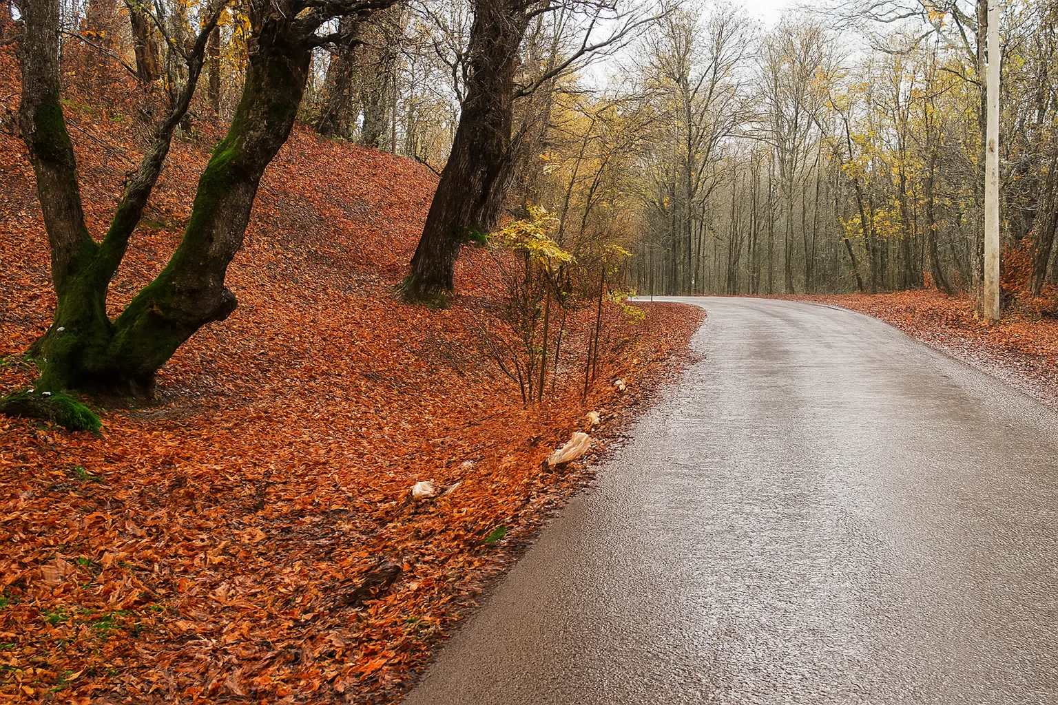 کوهپیمایی دوشاخه وش