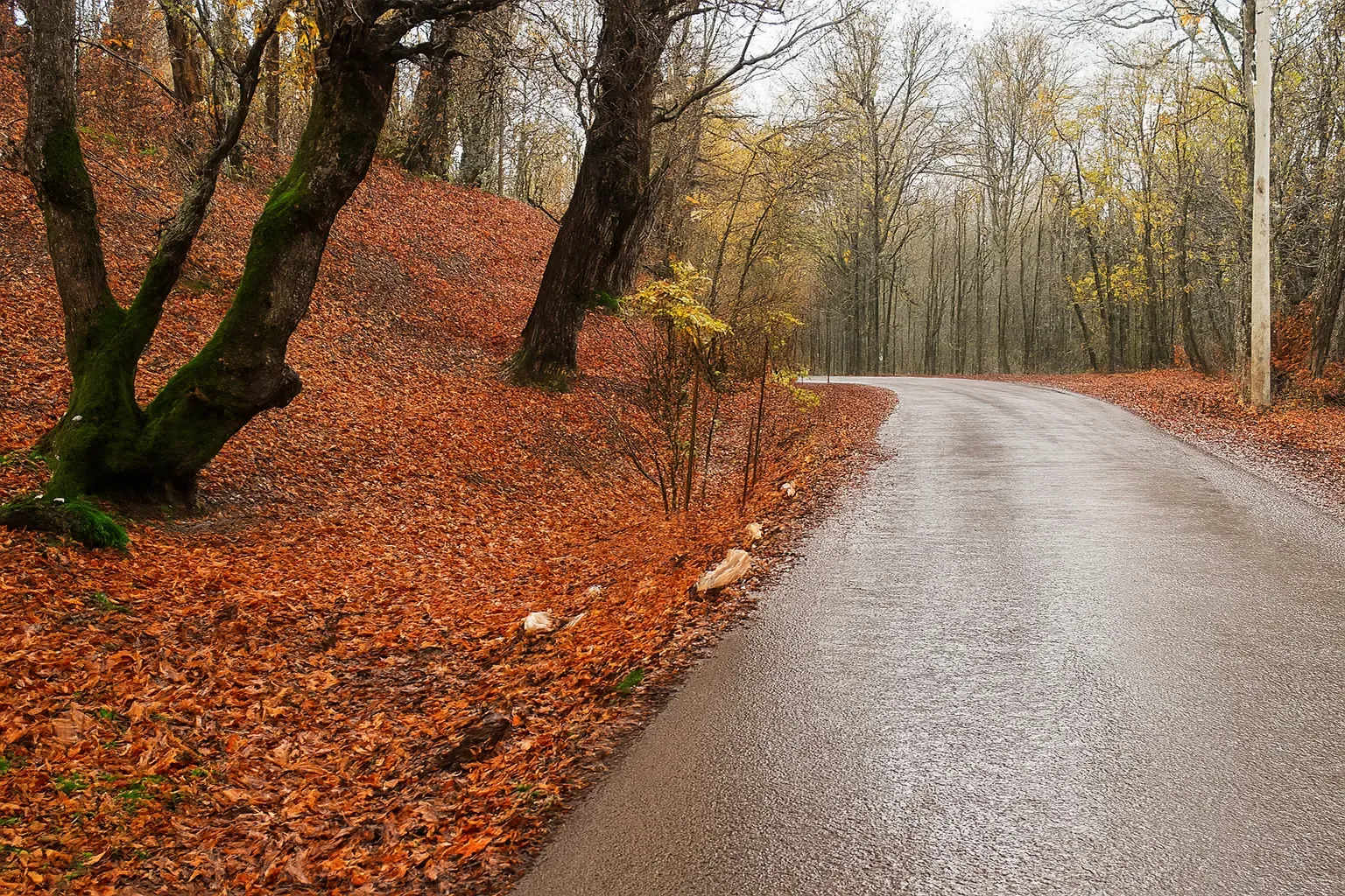 کوهپیمایی دوشاخه وش