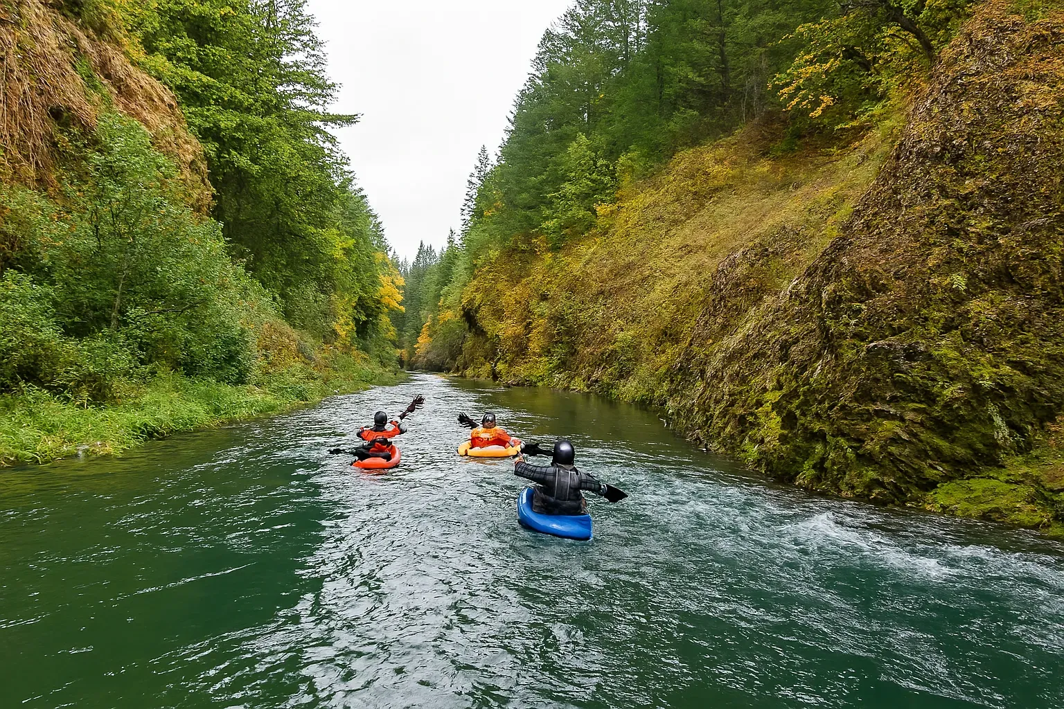 رفتینگ ارمند