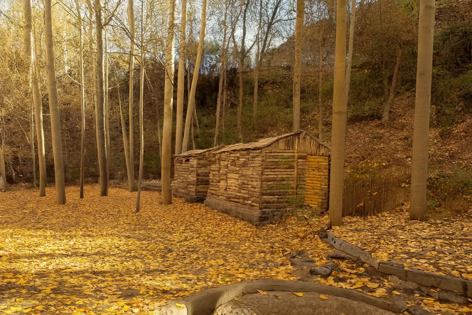 طبیعت‌گردی روستای پایه