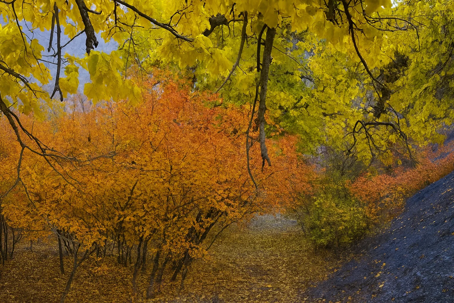 طبیعت گردی روستای هزار رنگ کشوه