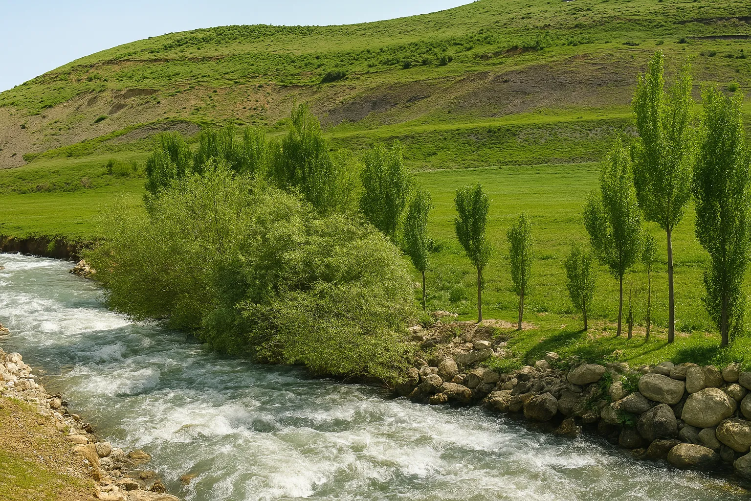 صعود چمن‌های زشک