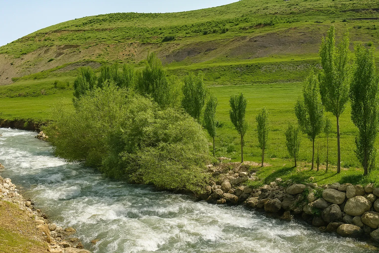 صعود چمن‌های زشک
