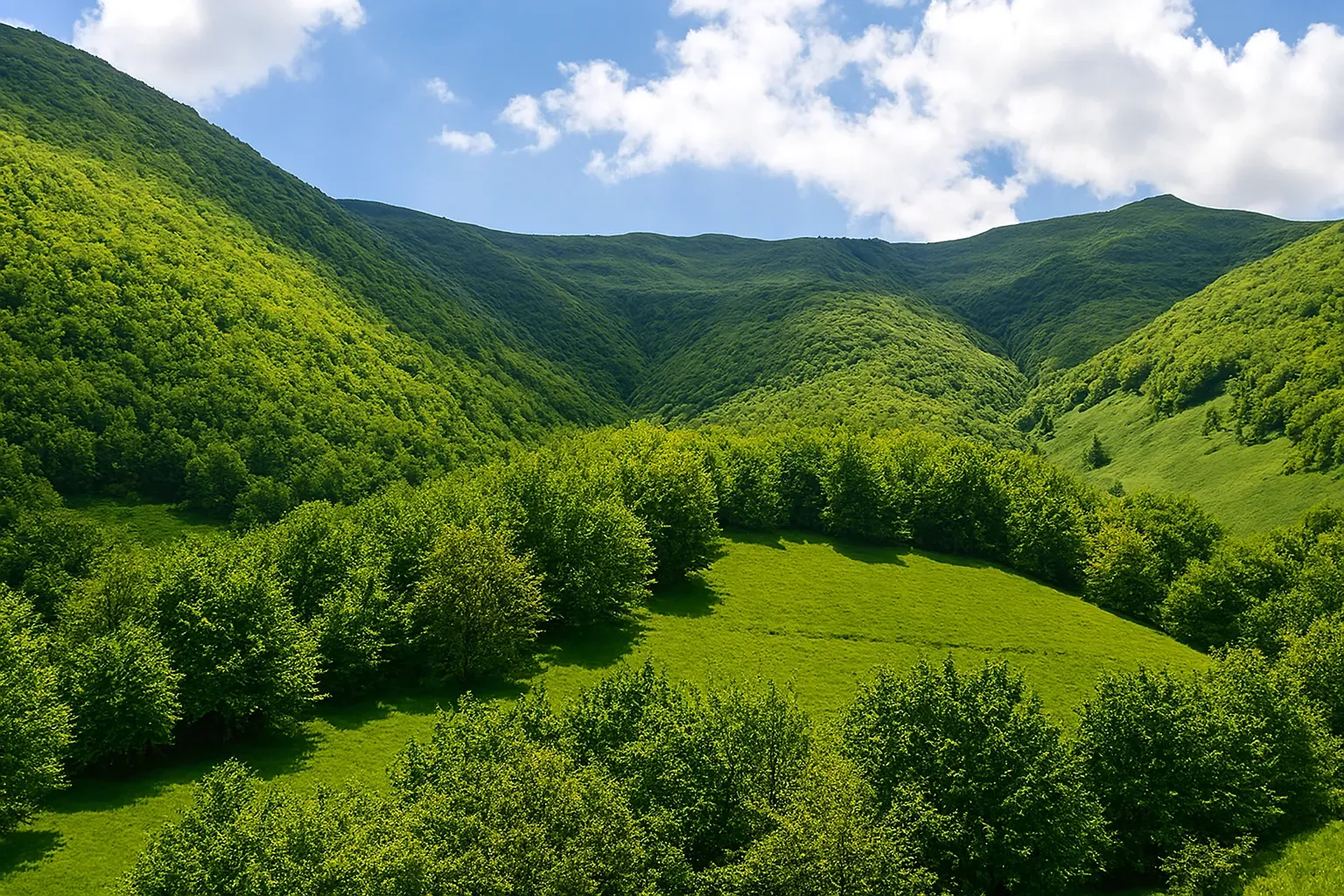 سفر به دیار ساوالان