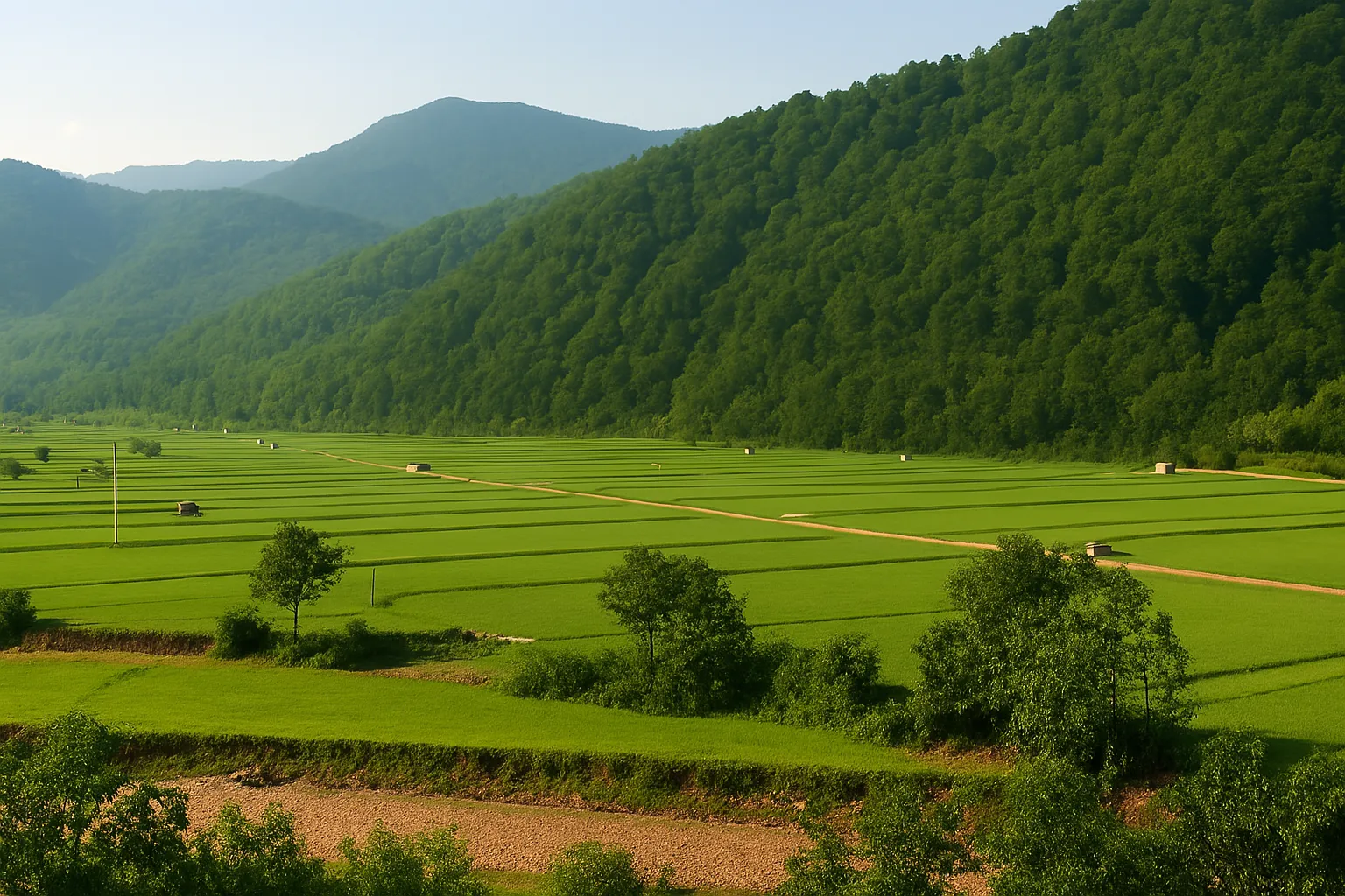 گشت طبیعت سواد کوه