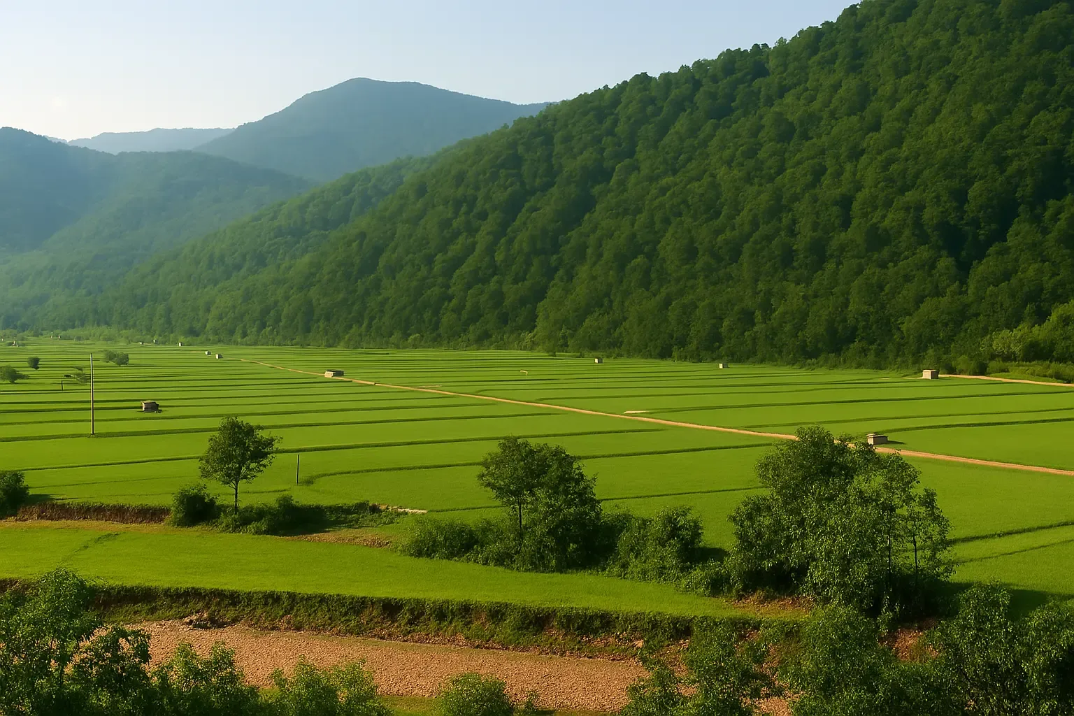 گشت برنجستانک سوادکوه