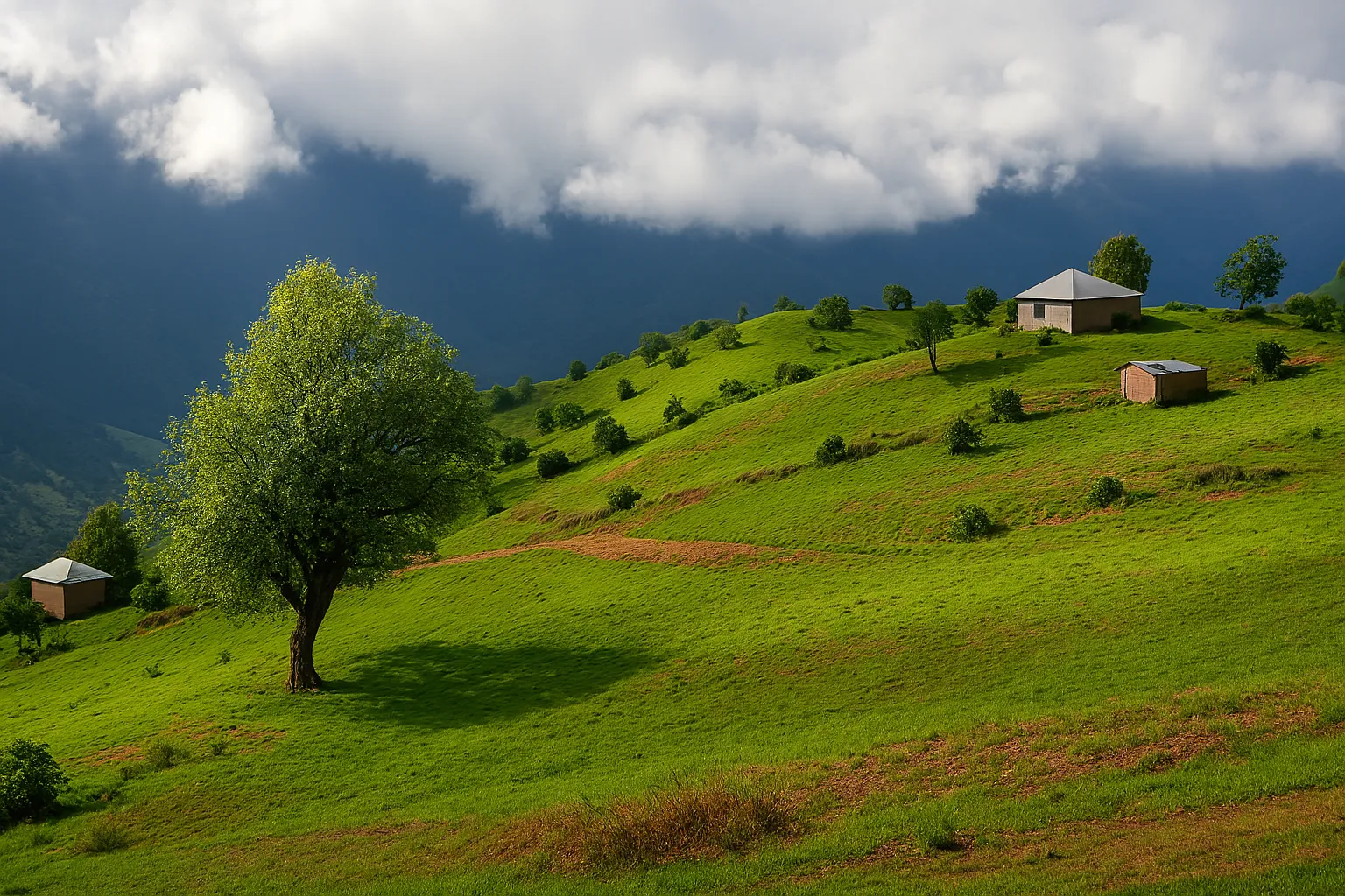 کمپ بوشکرفت سوادکوه