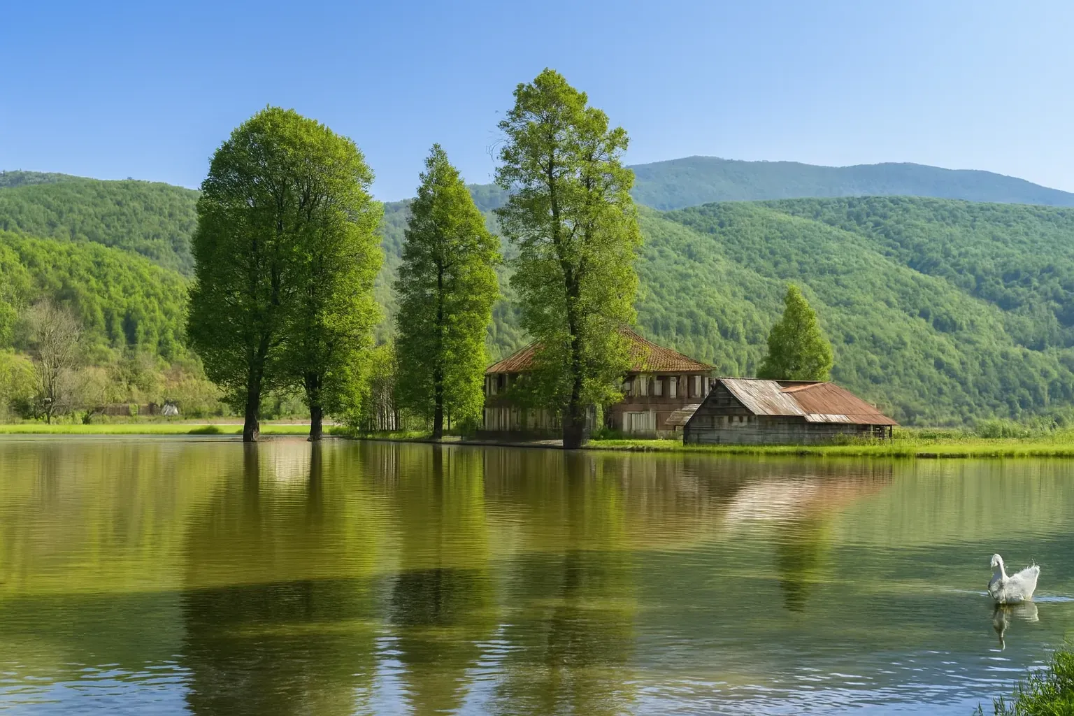 اقامت در سی دشت