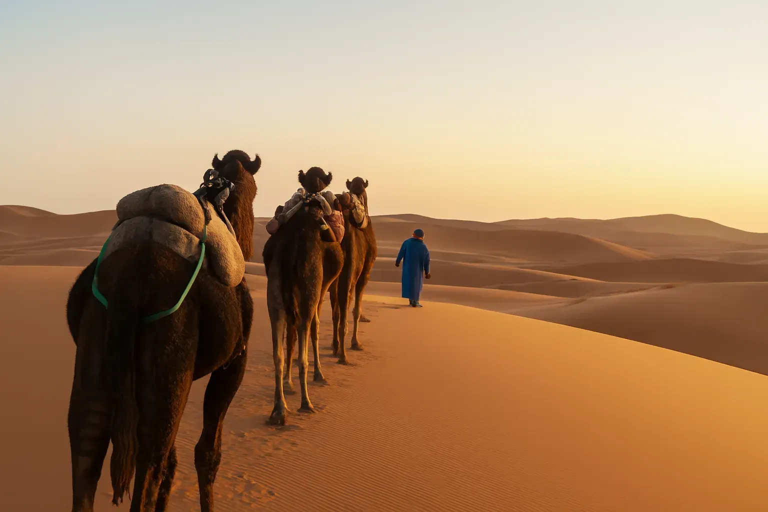 طبیعتگردی کویر شهداد