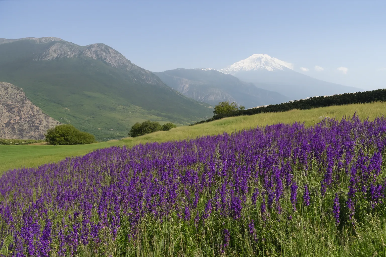 پیمایش شورکچال تا ورسک