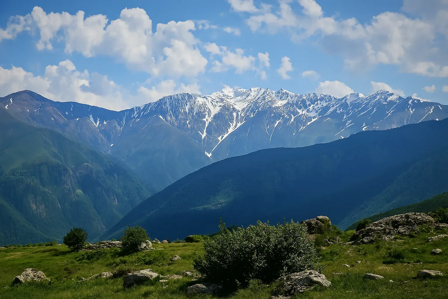 تور کمپینگ جنگلی فلکده