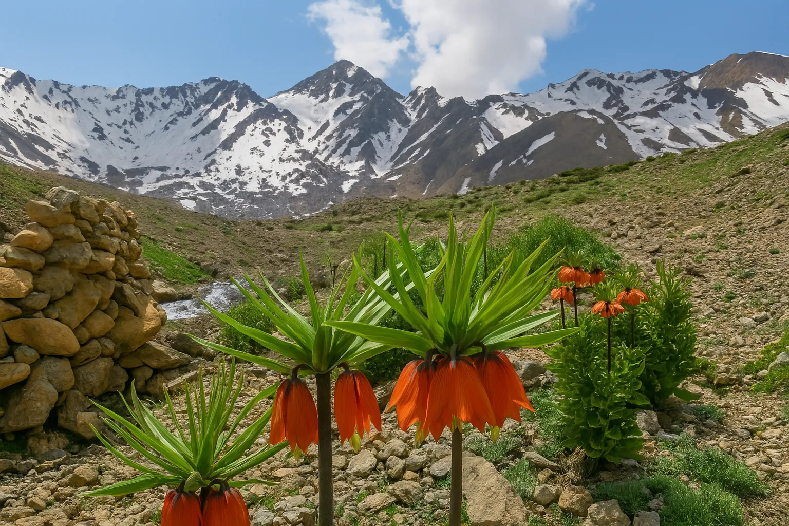 تور برگزارشده صعود به قله شاهانکوه