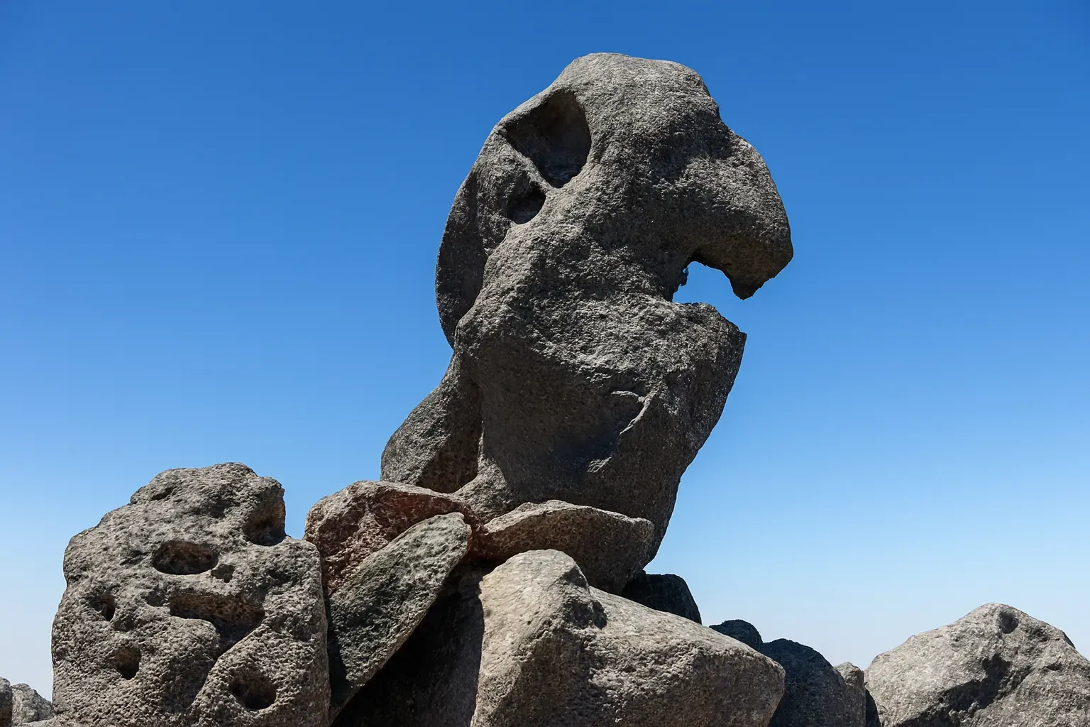 صعود کوبری و یخچال