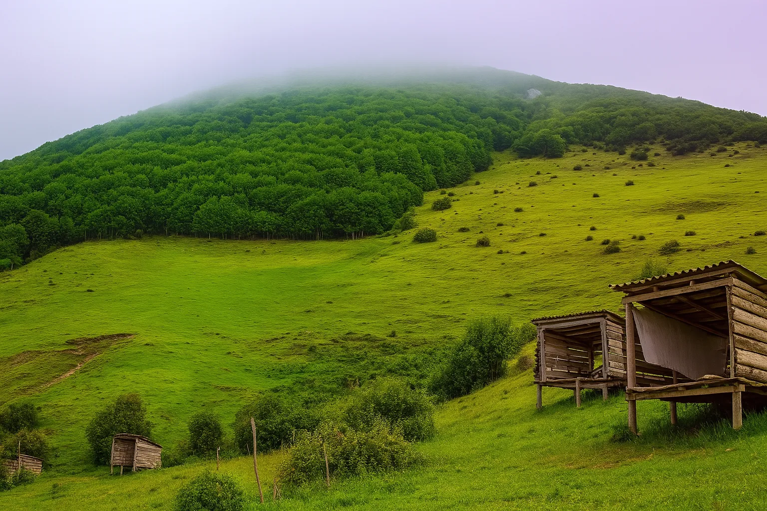 گردش مازیچال تا کلاردشت