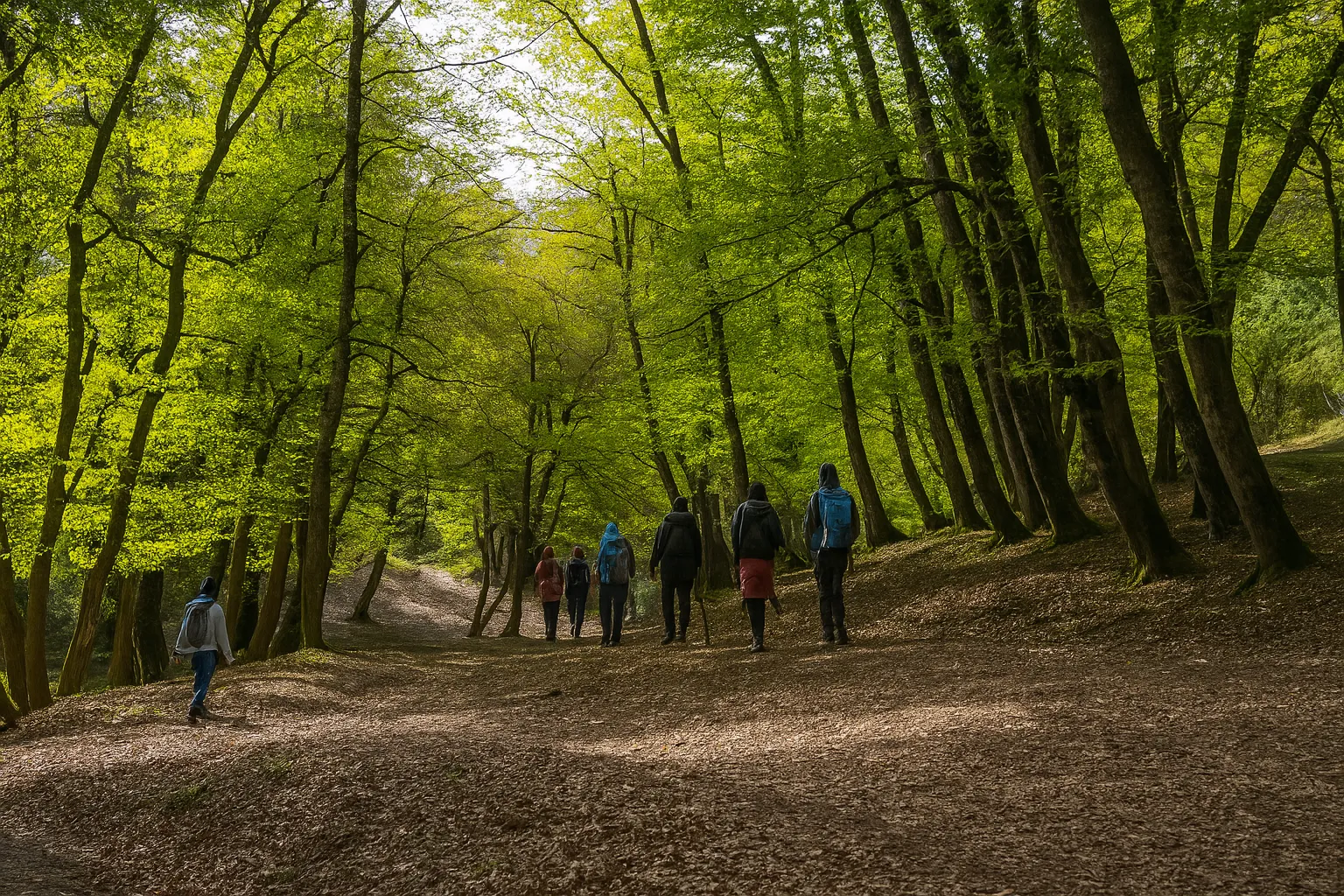 پیمایش نارنجستان به بلیران