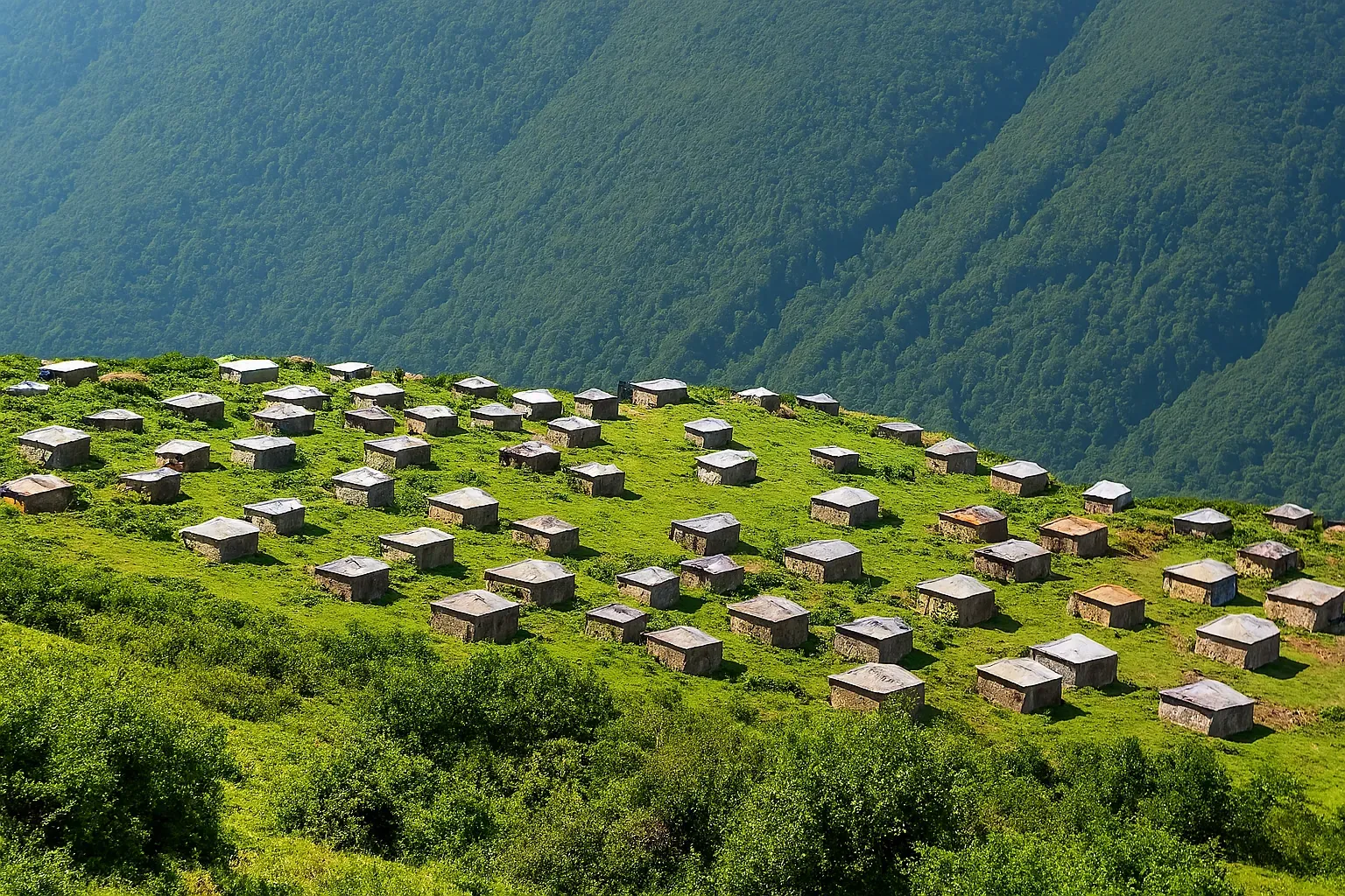 جنگل نوردی و پیاده‌روی در ییلاق نوشا