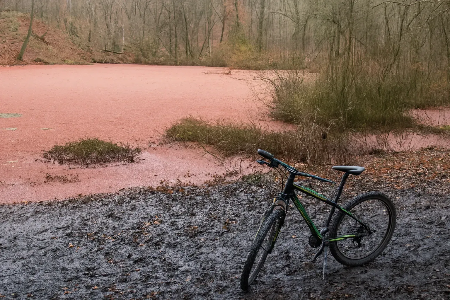 پیمایش مرداب هِسِل