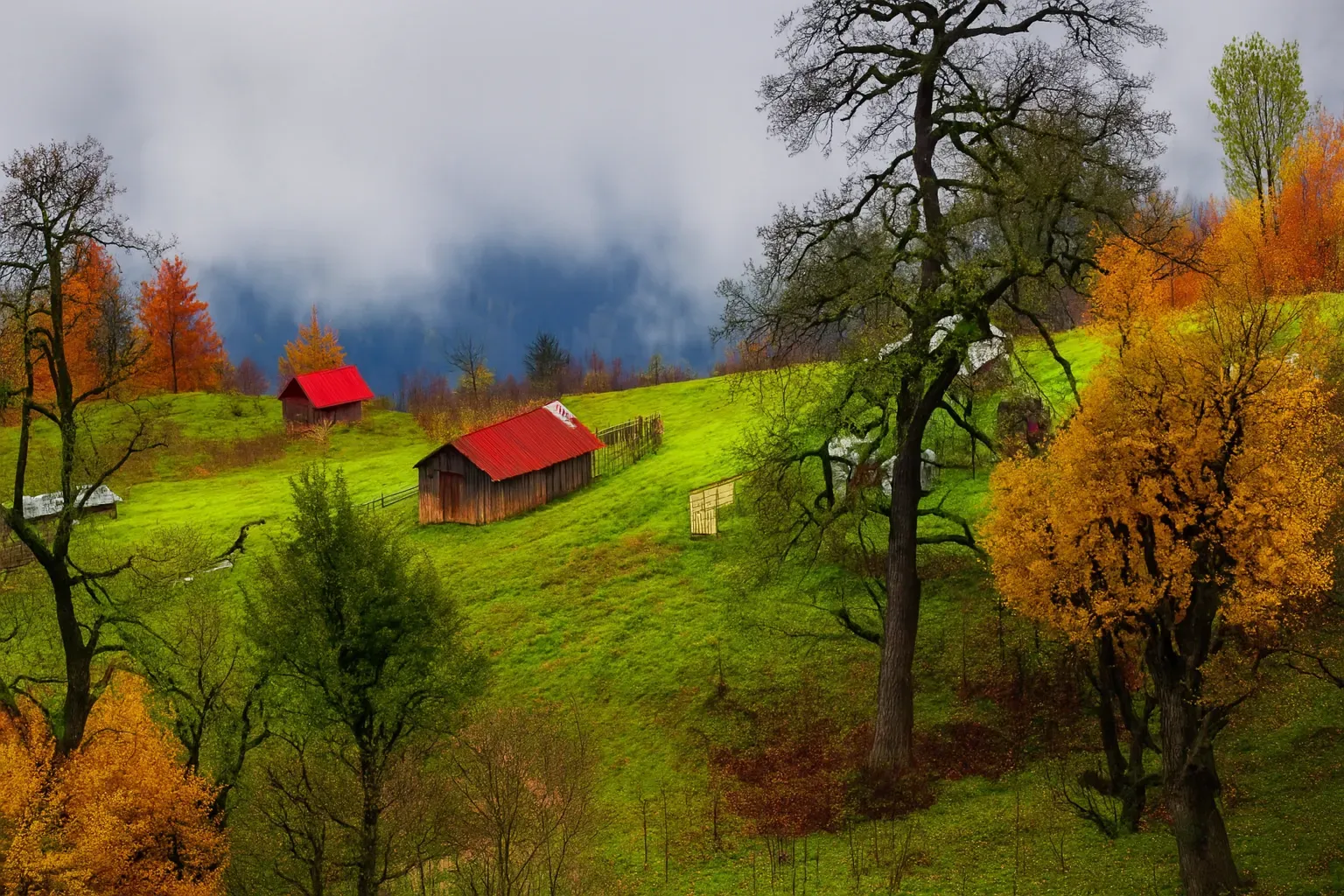 گشت پاییزی شمال