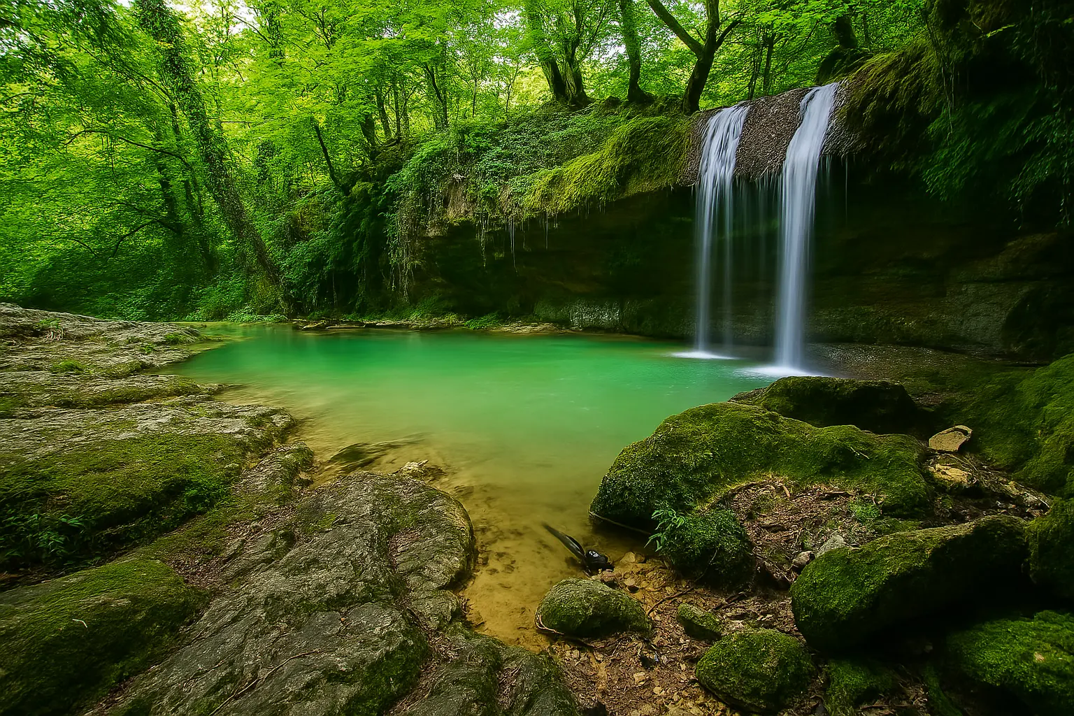 جنگل‌نوردی سیاهمزگی