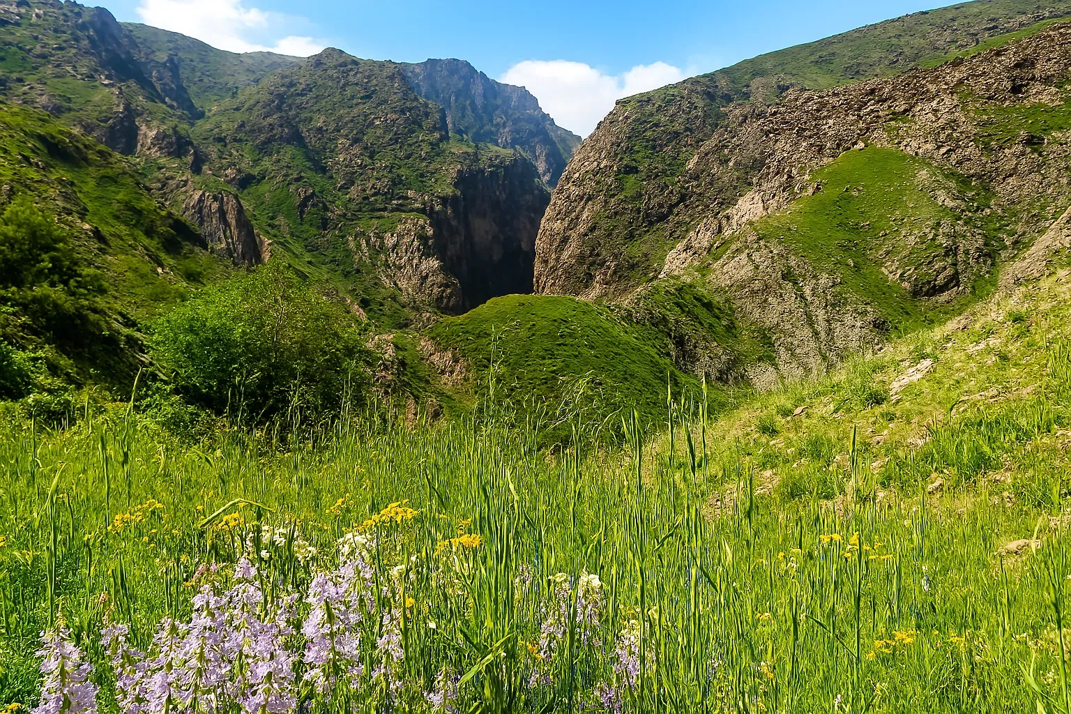 پیمایش دره چرم کهنه