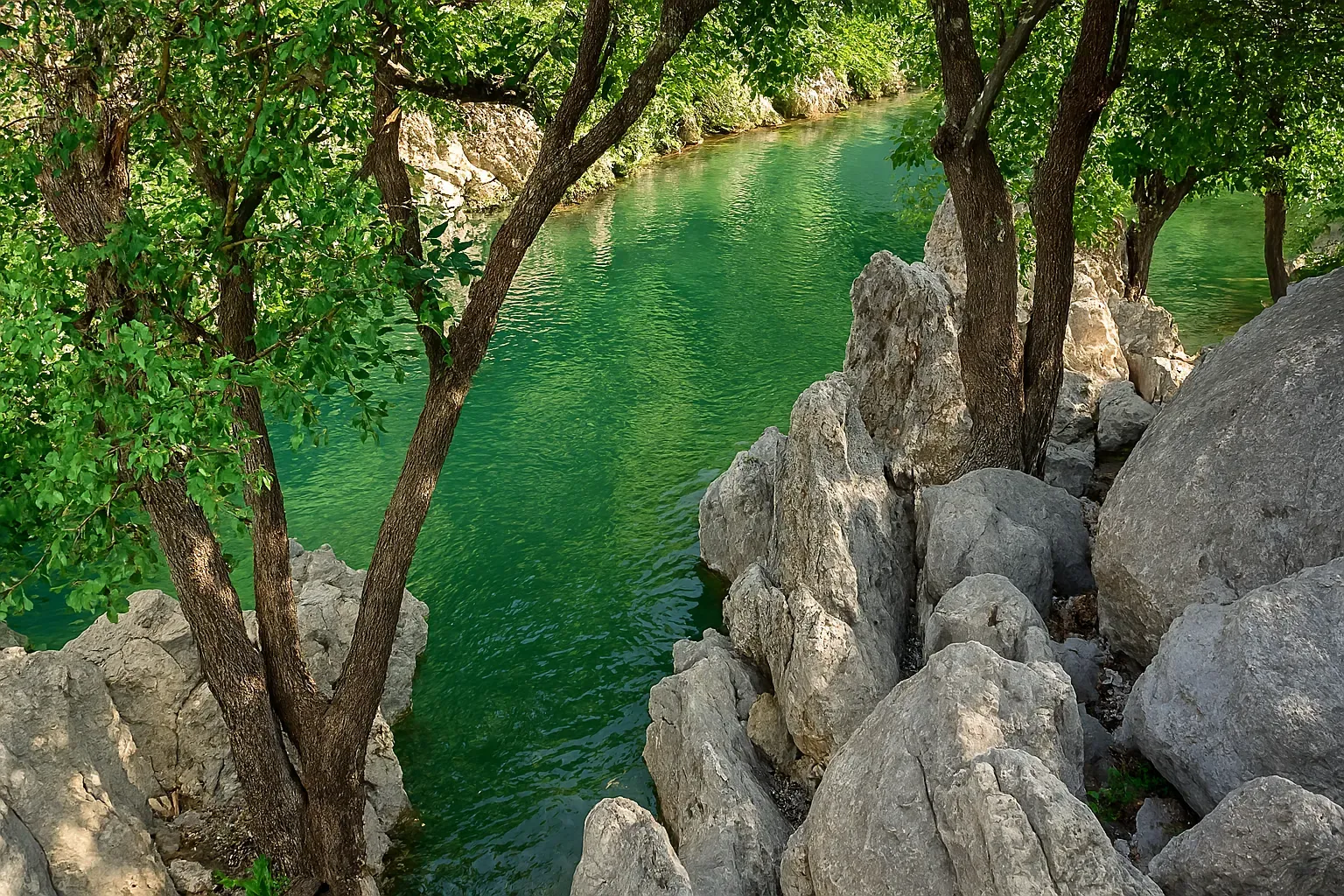 شب‌مانی در کنار چشمه پلنگی