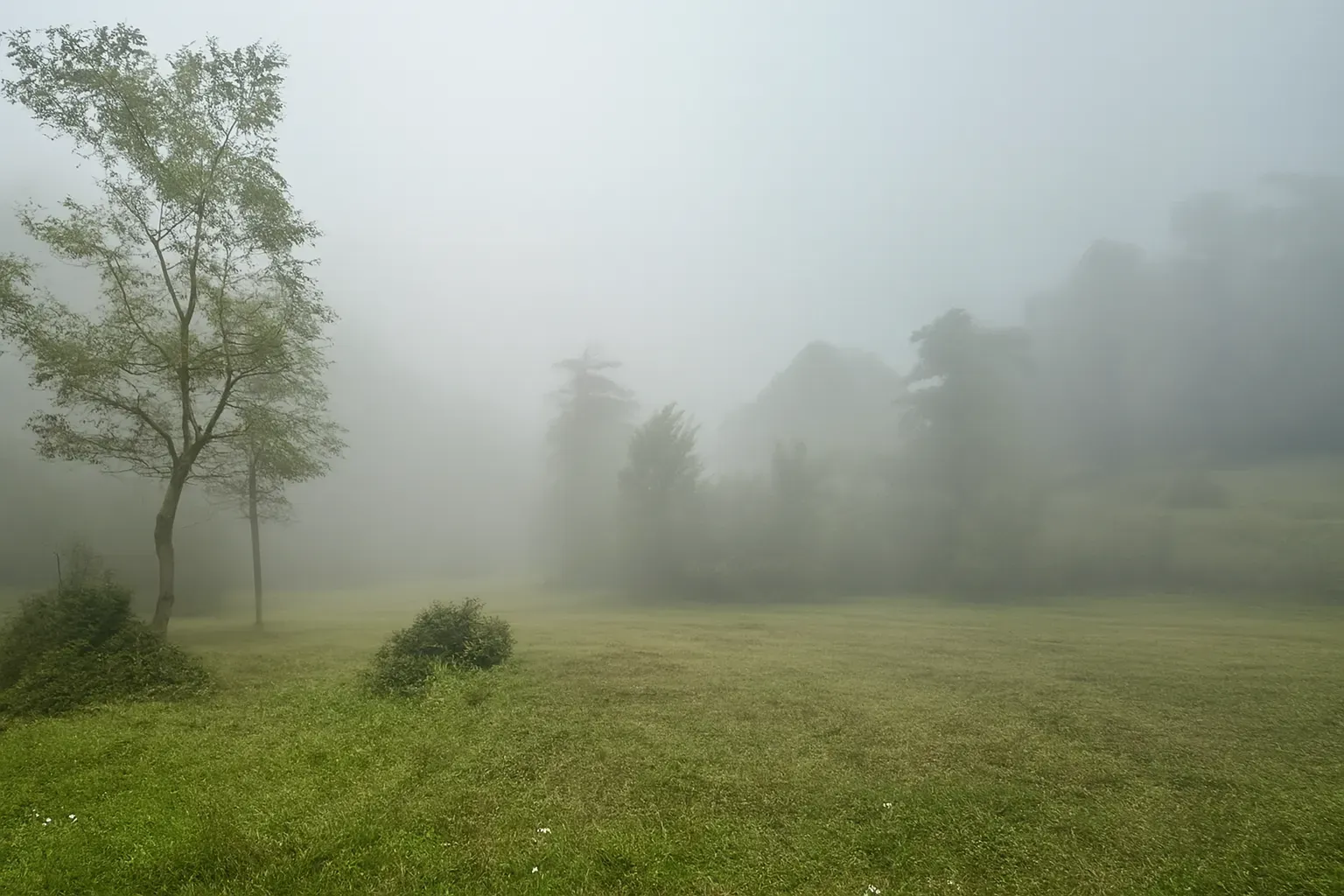 پیاده‌روی جنگل کمرپشت