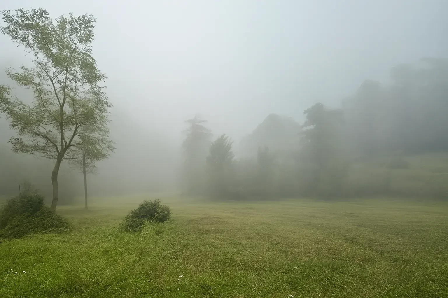 پیاده‌روی جنگل کمرپشت