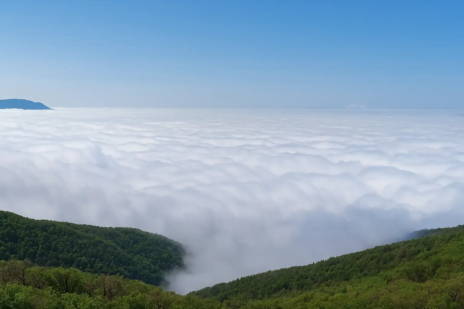 پیمایش جنگل ابر