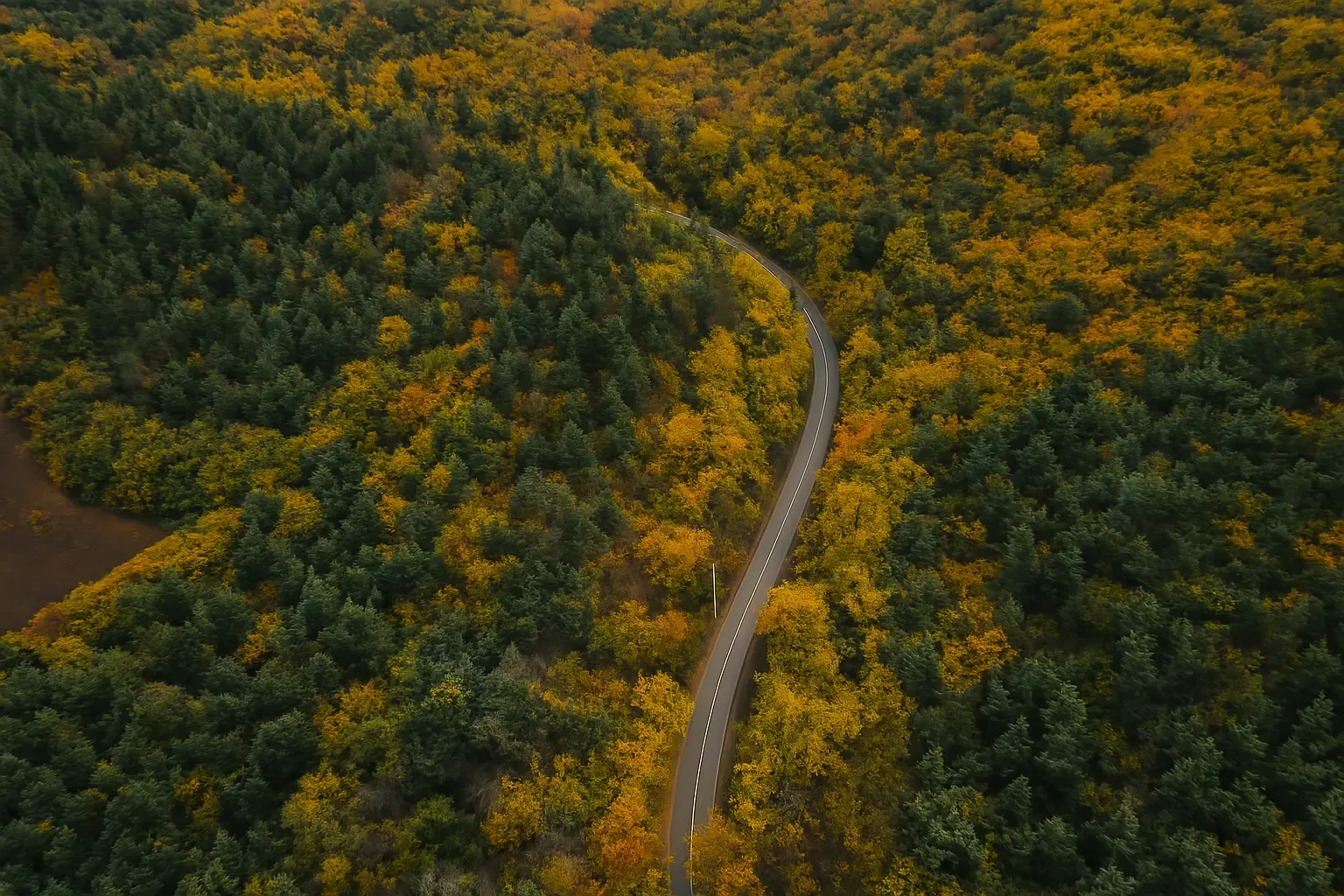 پیاده‌روی جنگل کلاش