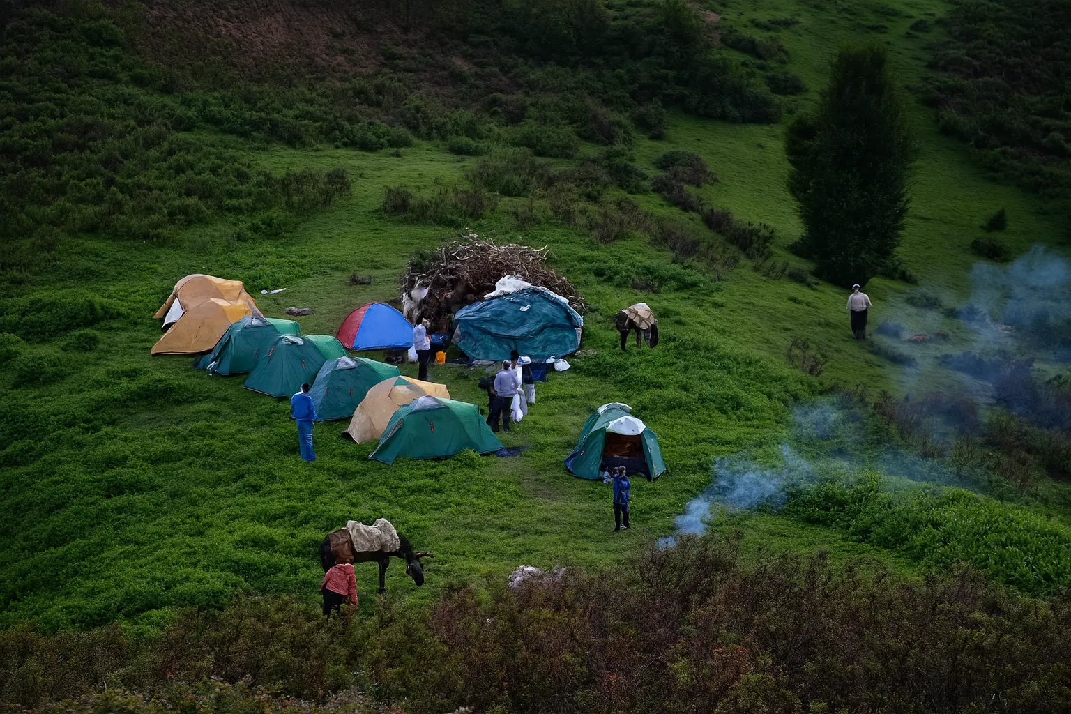 تور برگزارشده کمپینگ جنگلی درفک